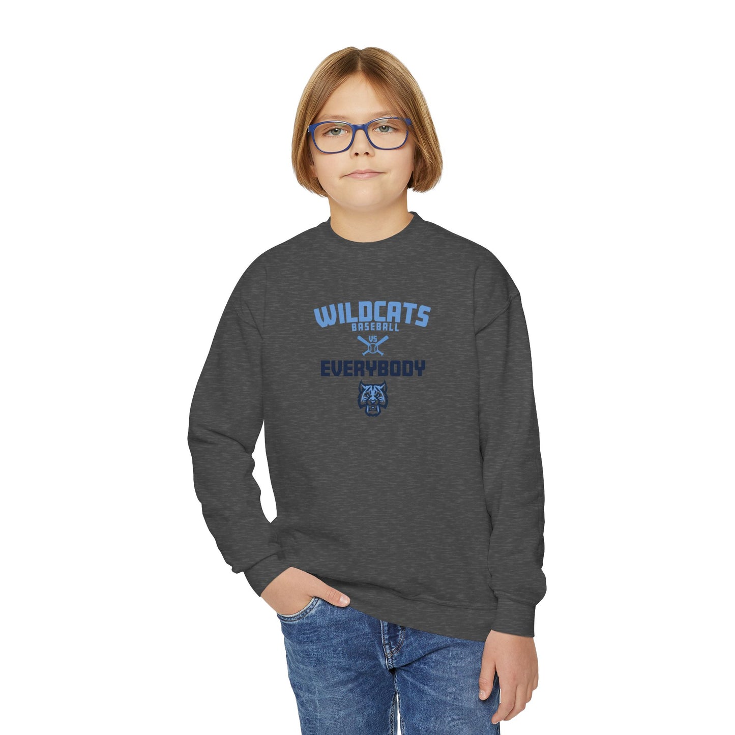 Wildcats Baseball vs Everybody Crewneck Youth Sweatshirt