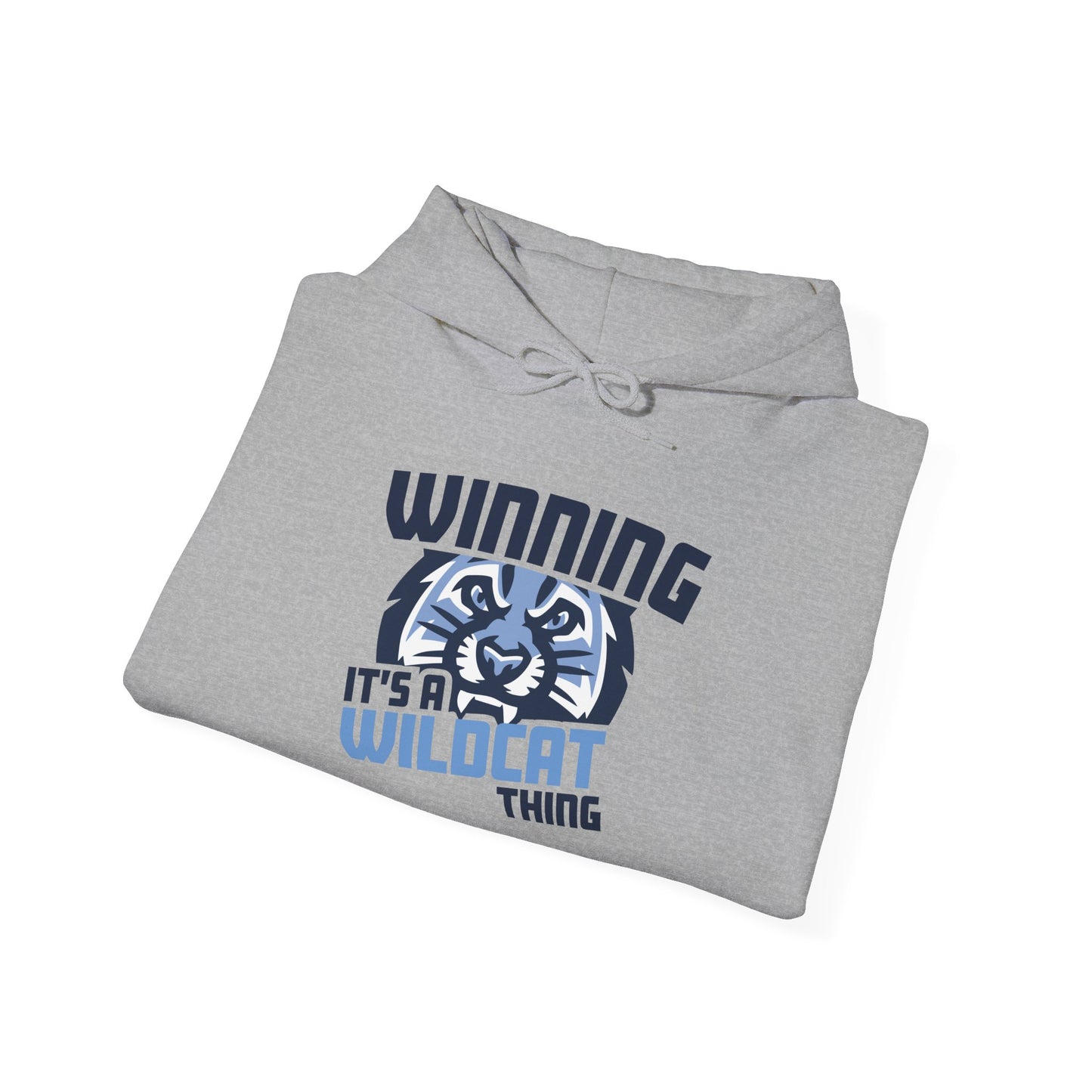 It's a Wildcat Thing Hoodie